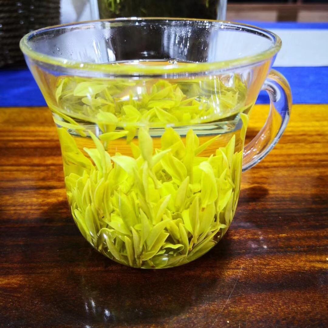 春苑茶园