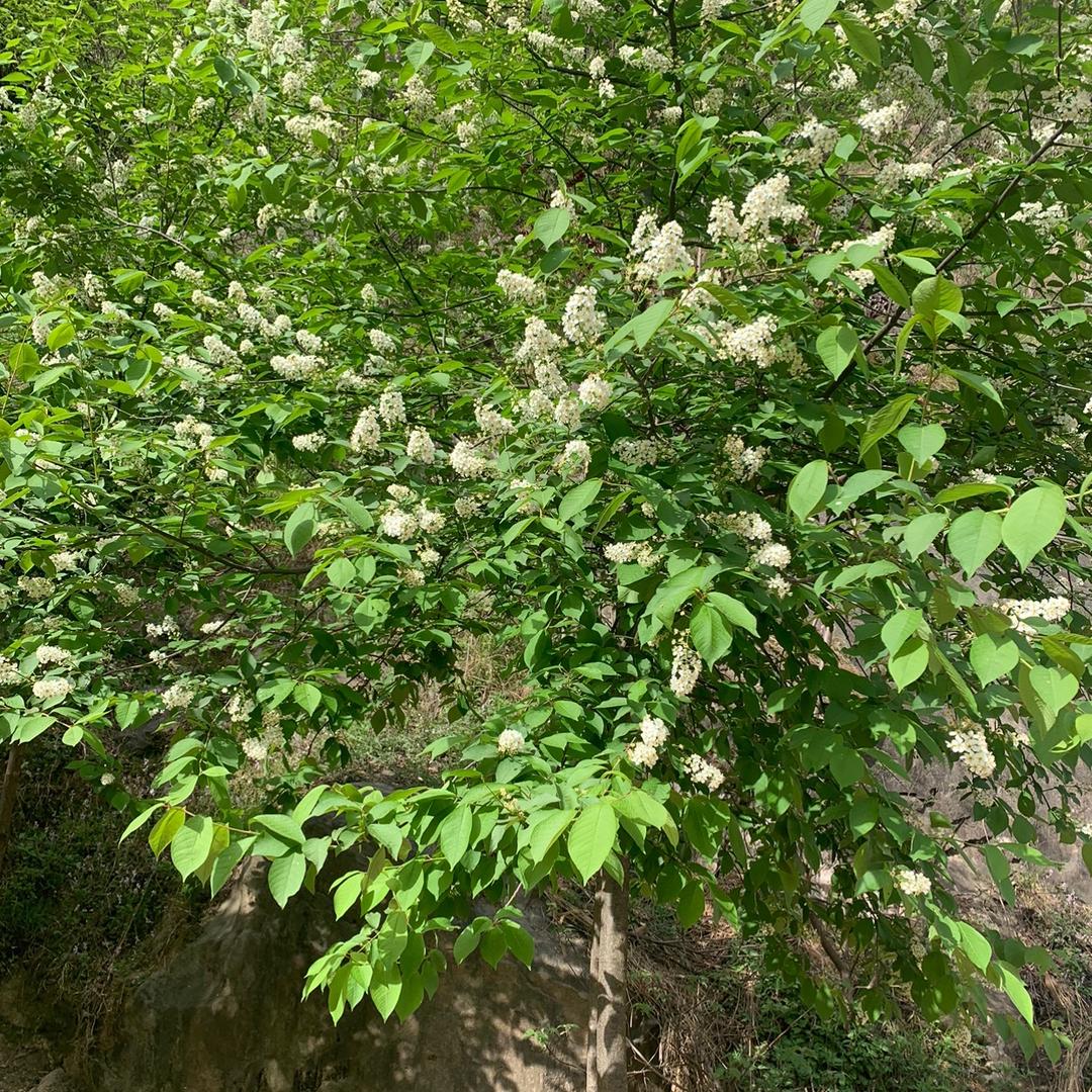 君山脚下