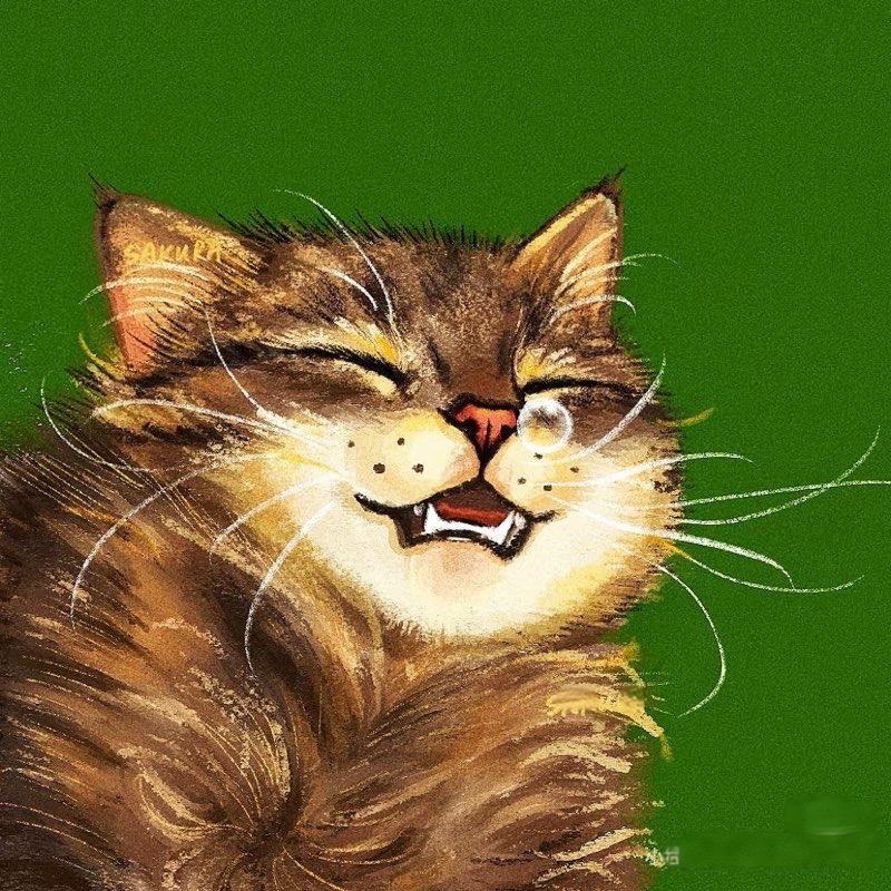 多少来点 潮玩店