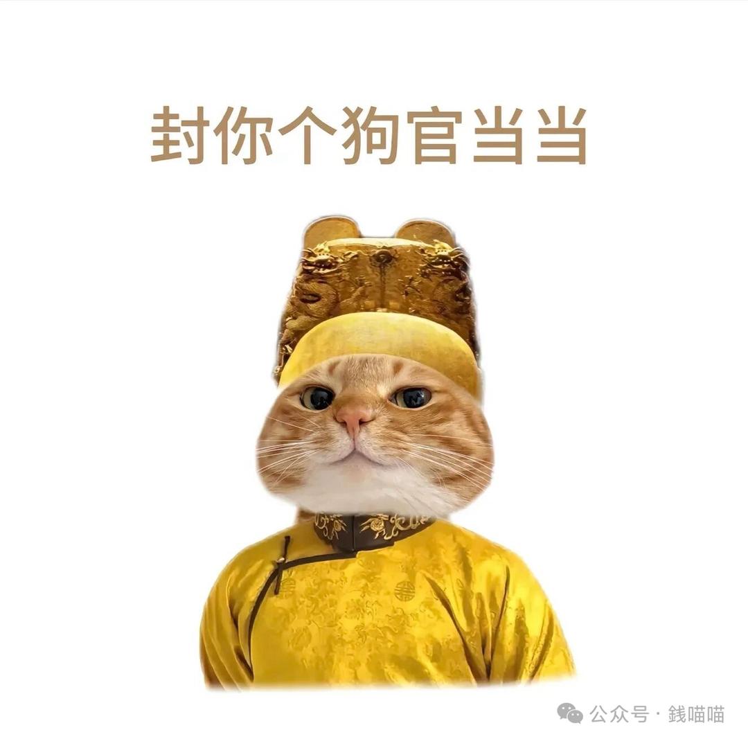 徐大漂亮