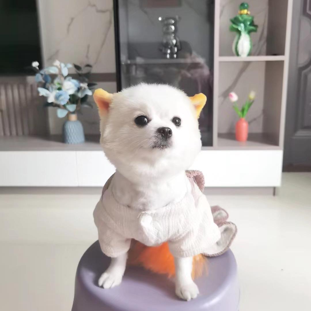 @时间的过客