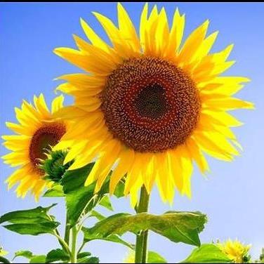 感谢明天😄陈姐