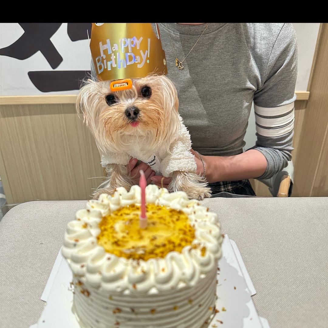 一个被打入冷宫的娘娘