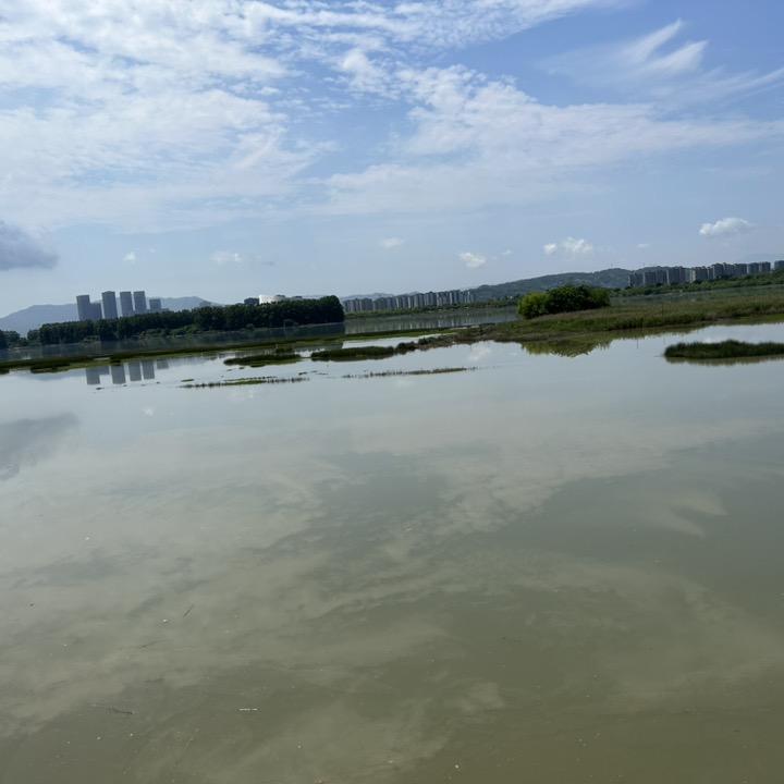 H的平方