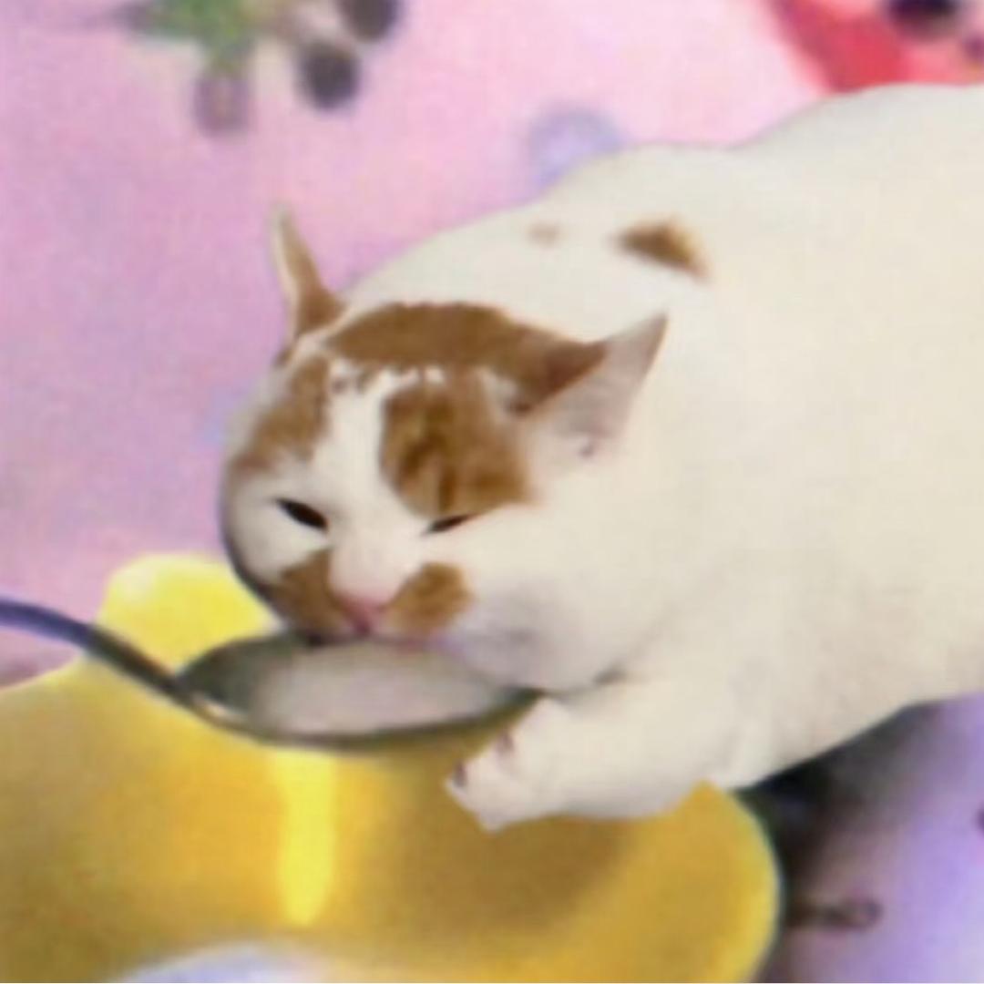 鱼籽福袋