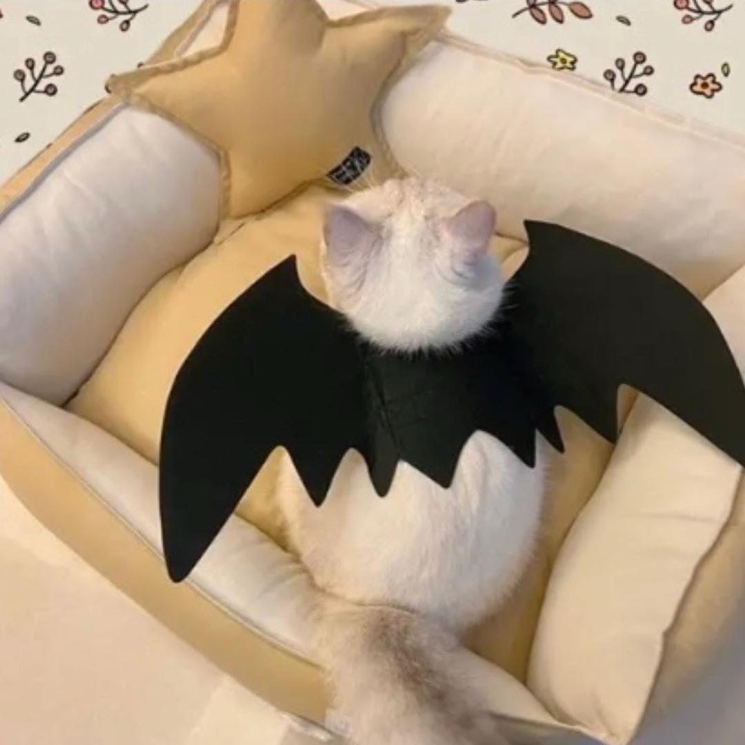 还带走了电饭煲