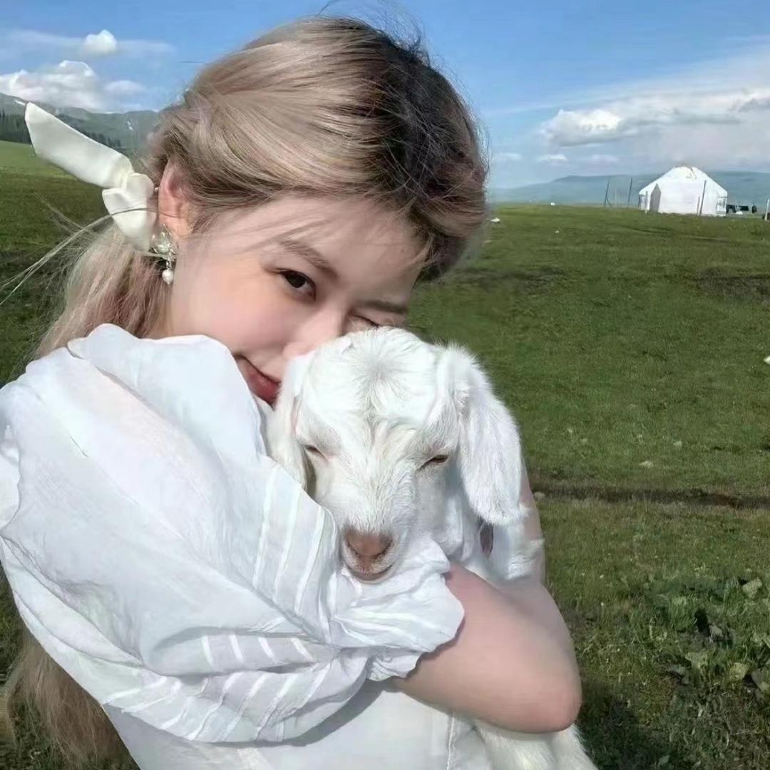 .十七