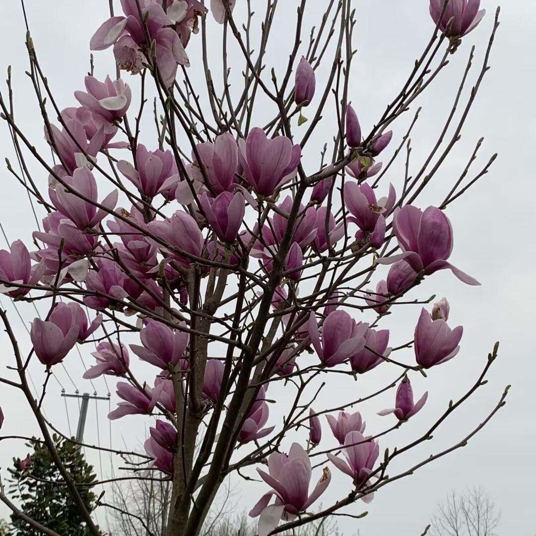 慧子服饰工厂店