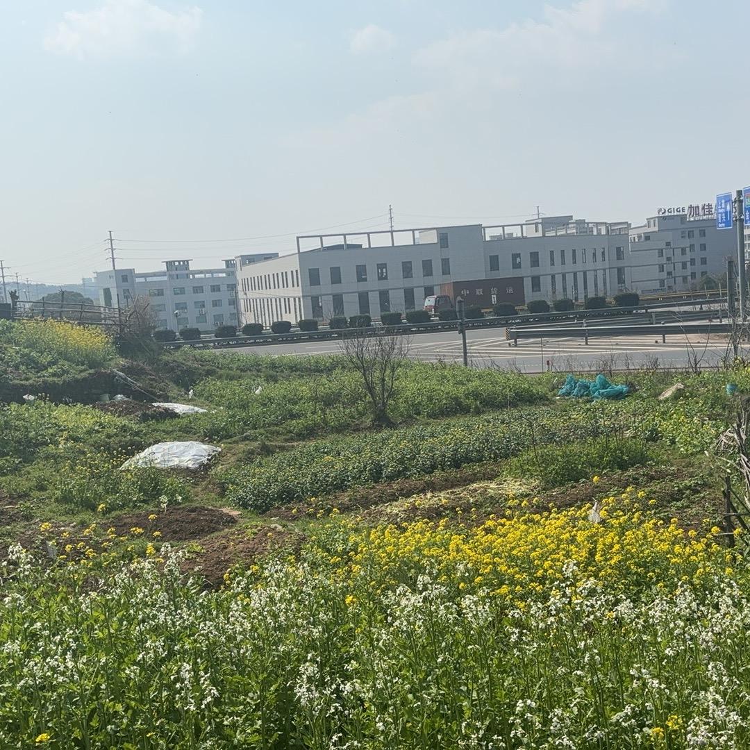 关心门