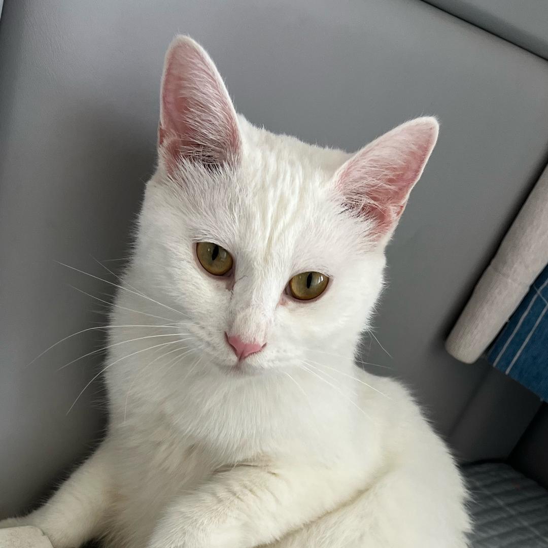 💞ℳঞᩚ幸福꧔ꦿ᭄