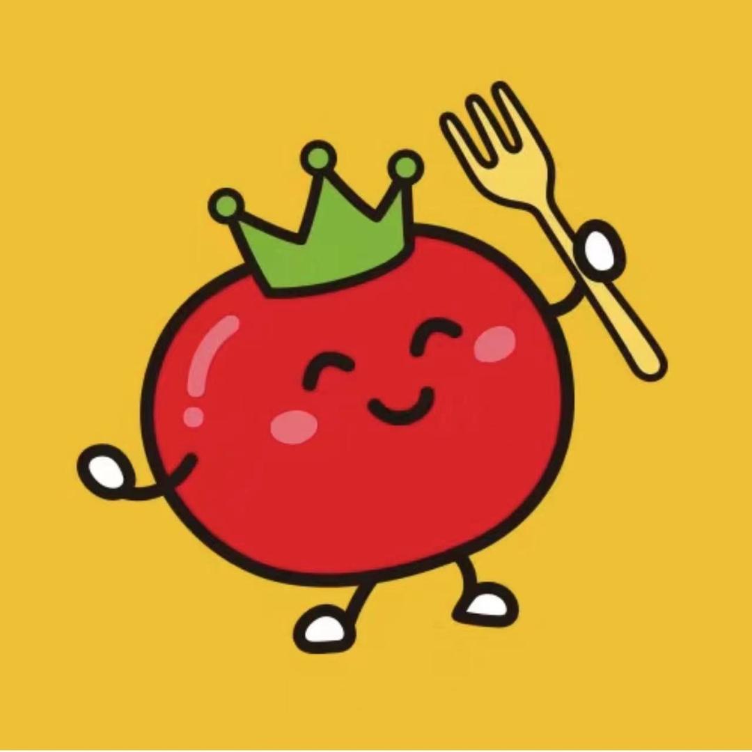 西红柿电脑科技