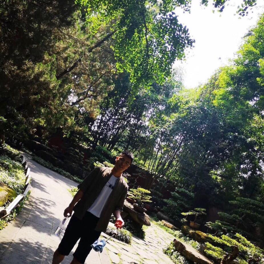 没人比我更会搬