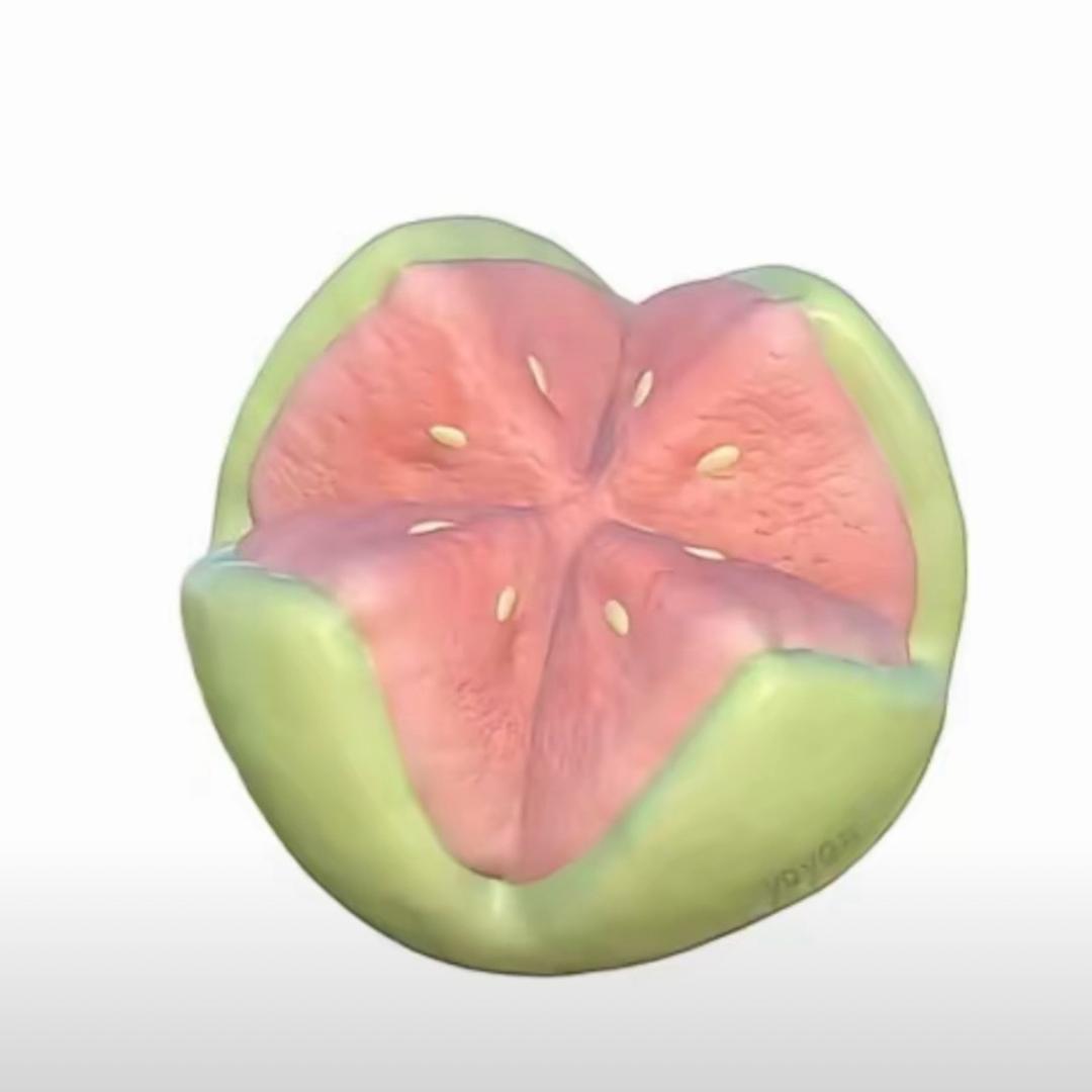 喵喵吃不饱