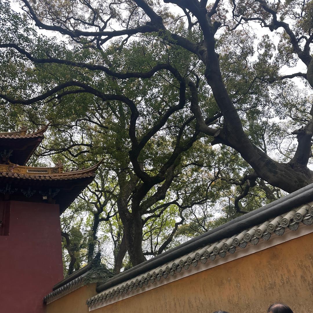 歙纔歙阌蕐