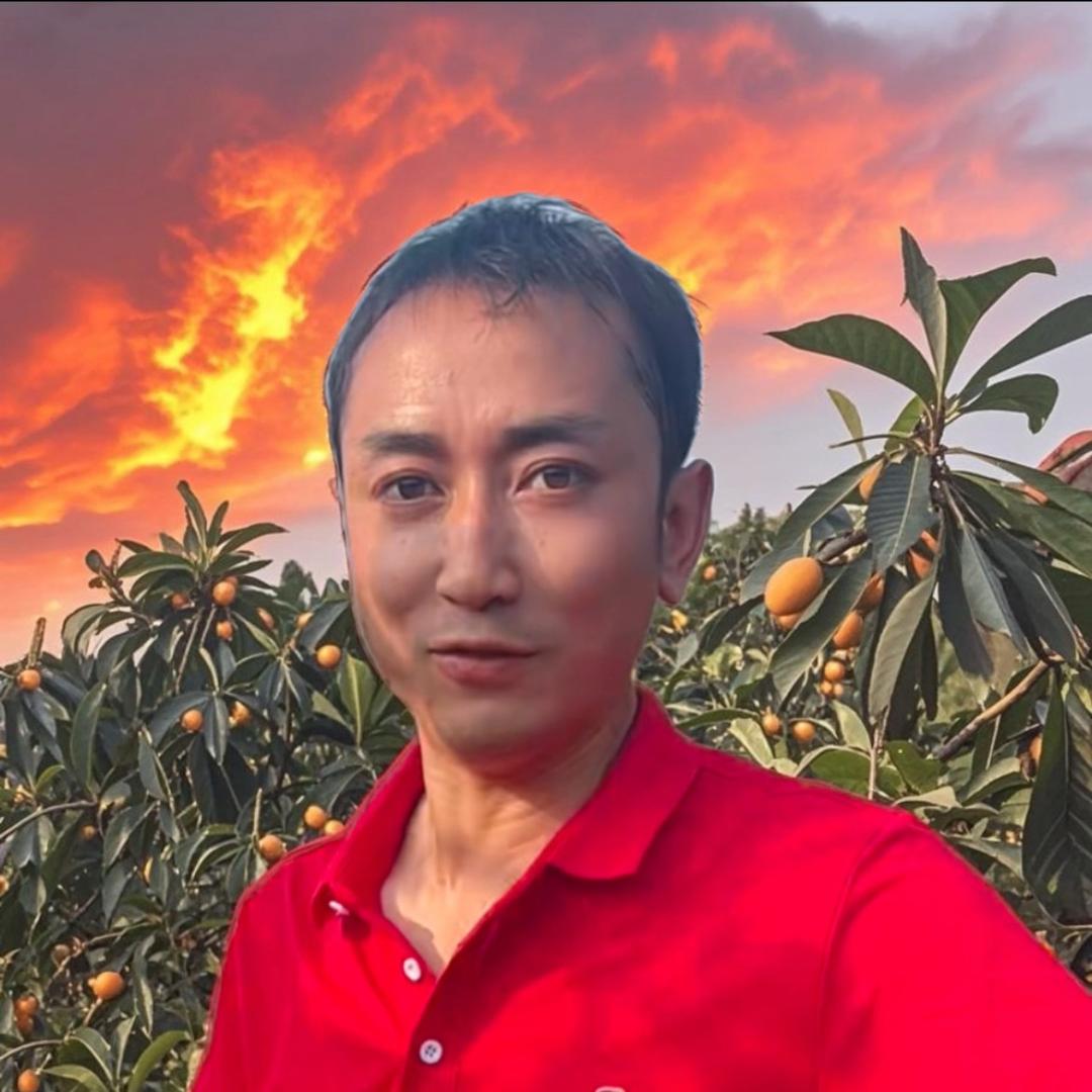 朱炎灶