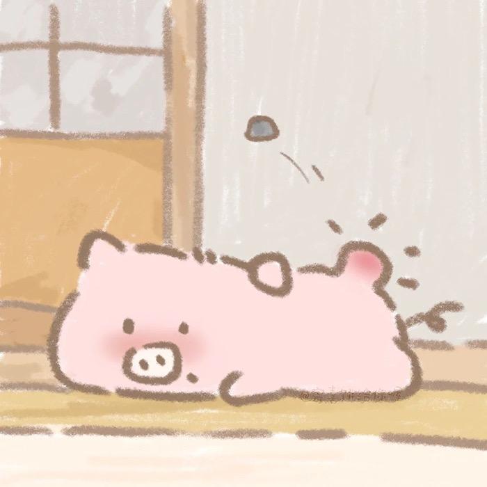 偷猪崽