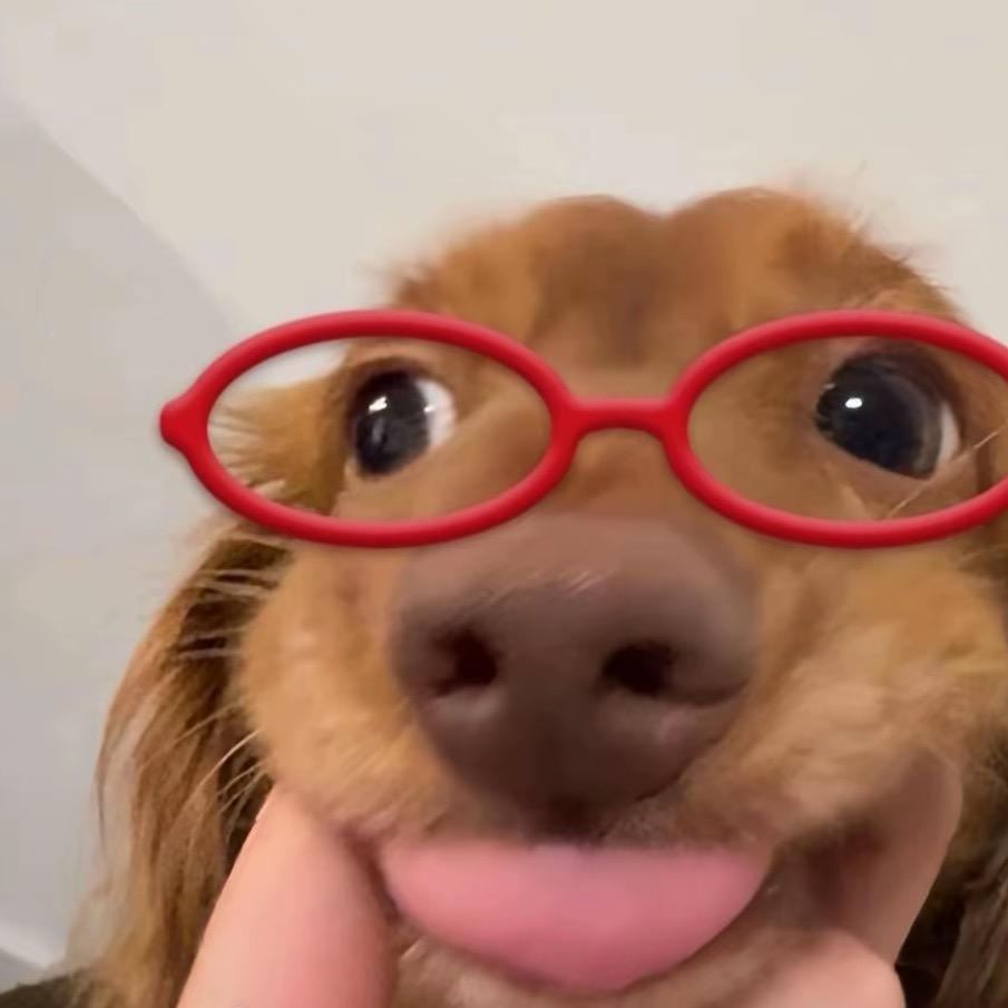 尹蛋蛋ovo
