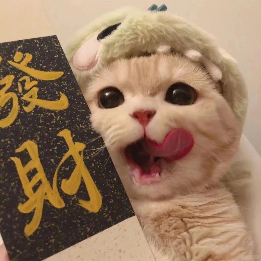 子伊美鞋