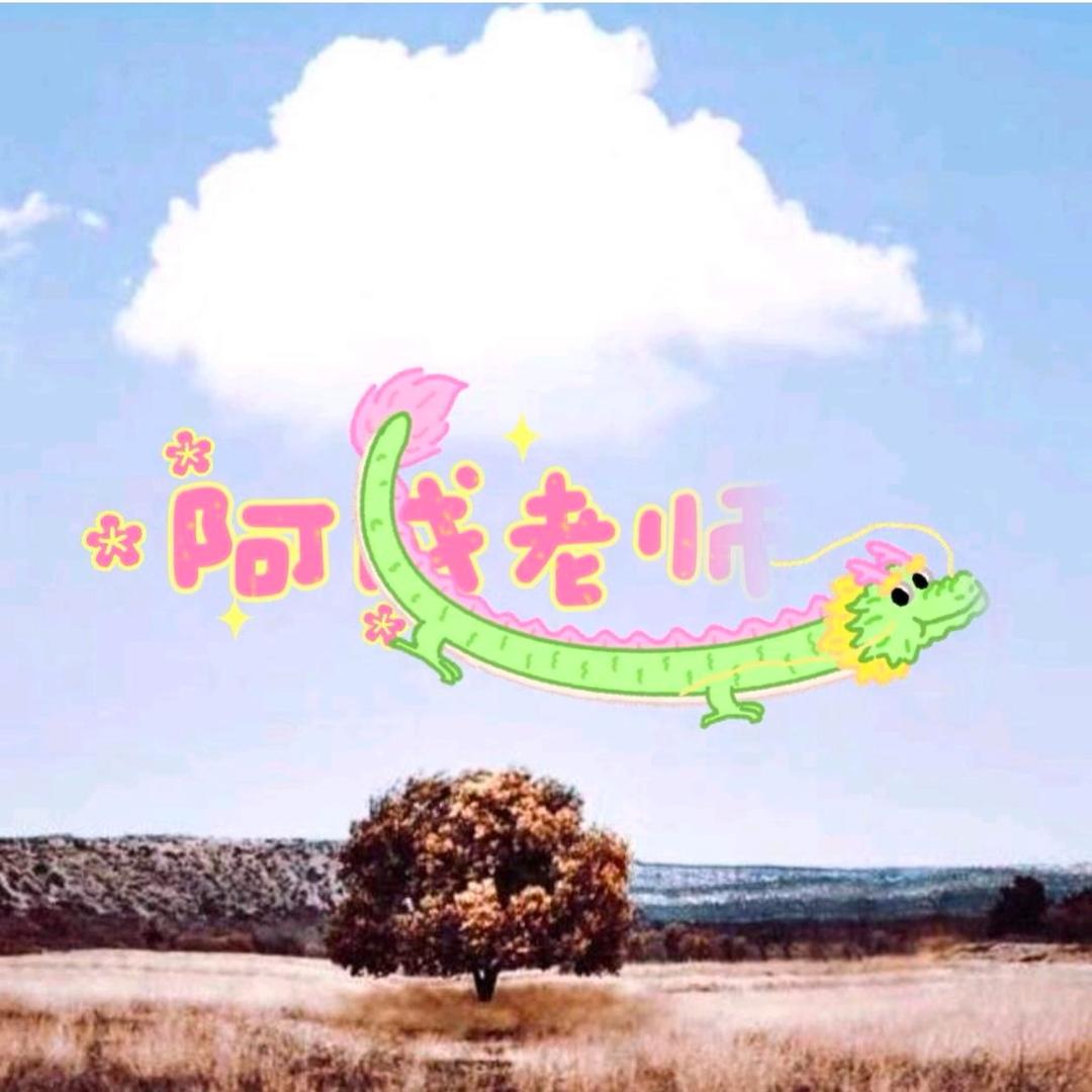阿成老师🍊