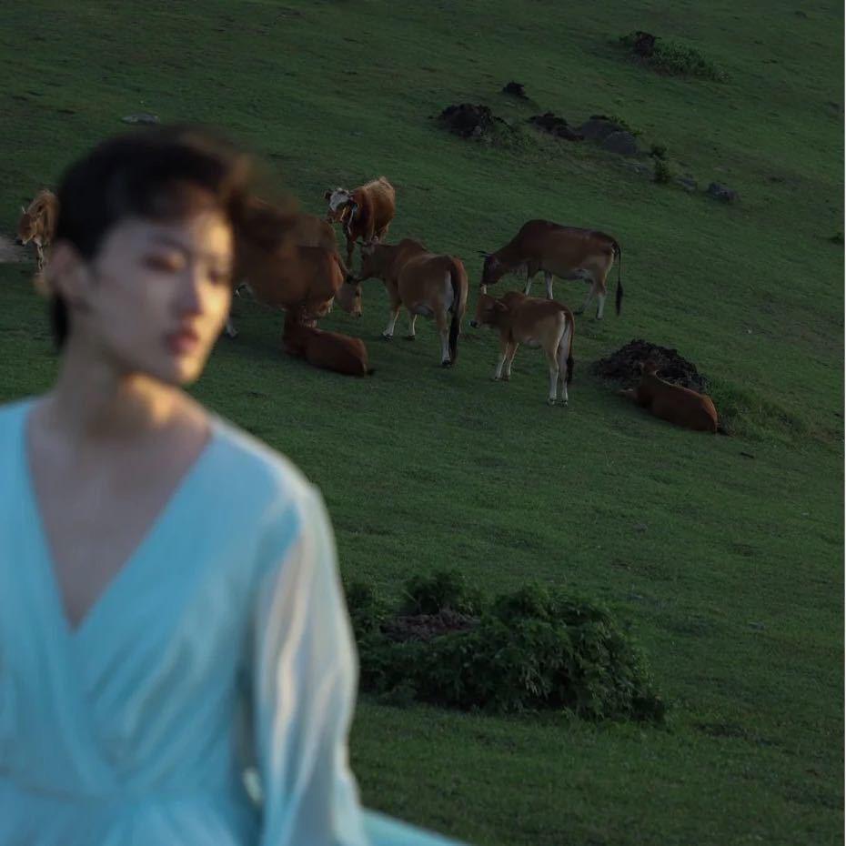 云团子