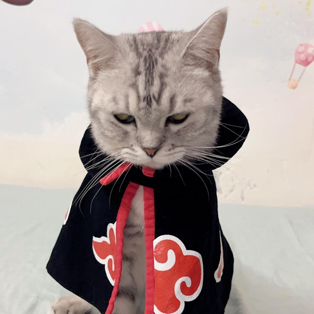 陈仙女呀
