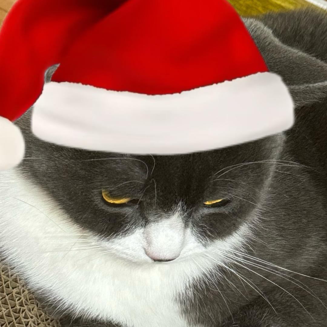 弔图教主（开学坐牢版）