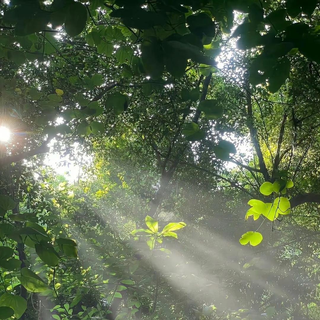 এº᭄ ོ 㞮 💞 孞 ృ༊ ړ࿐