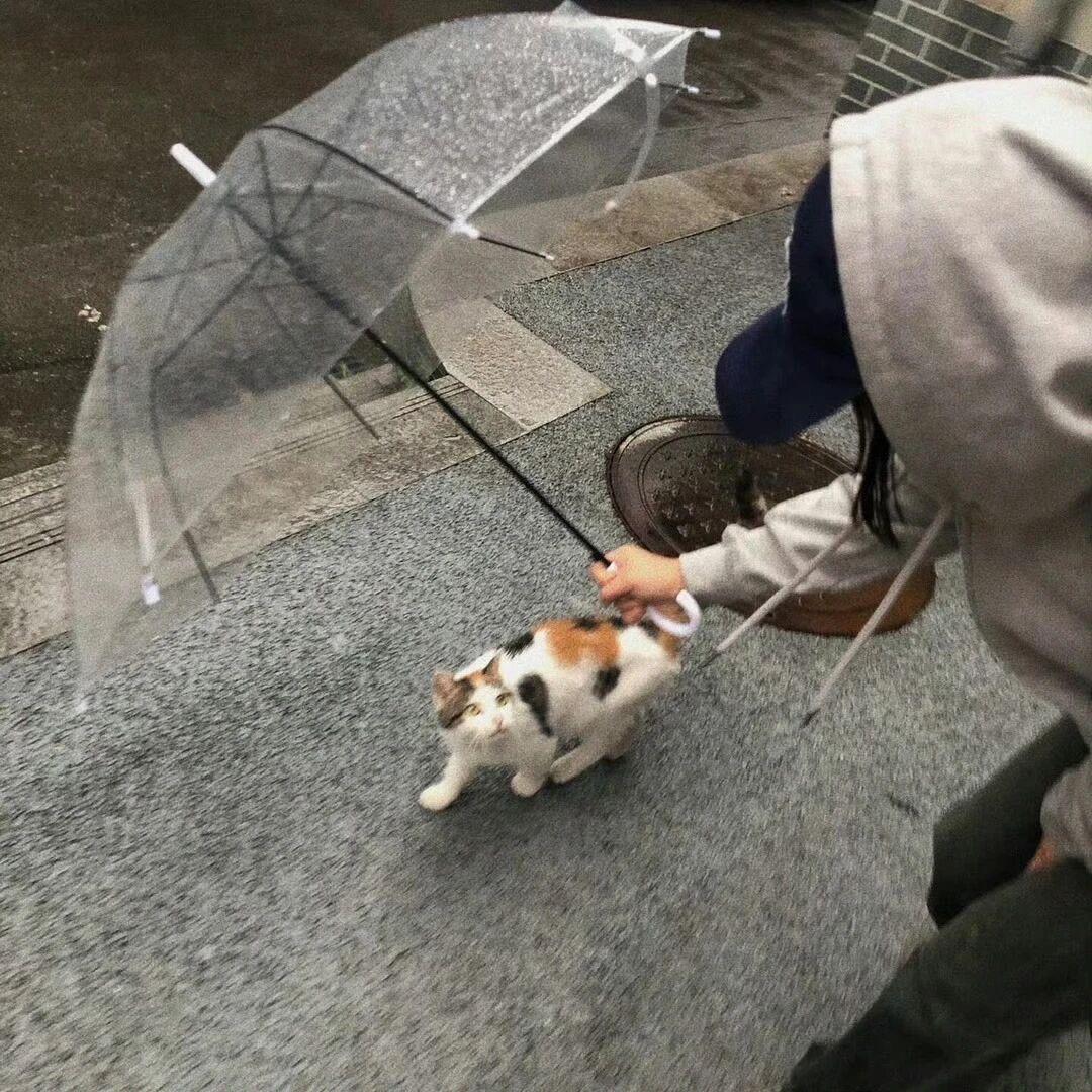 ☃️