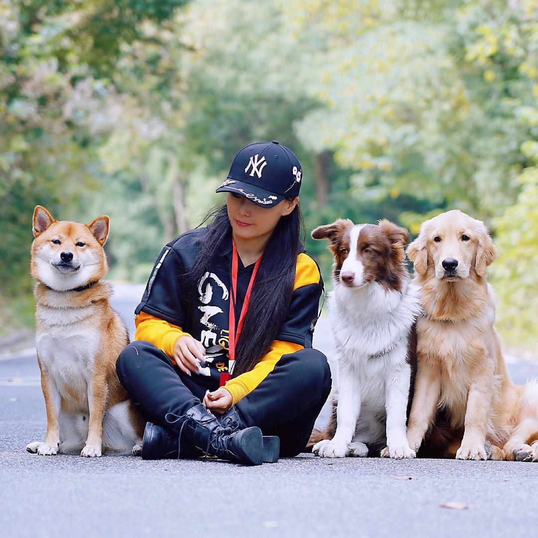 守护者训犬