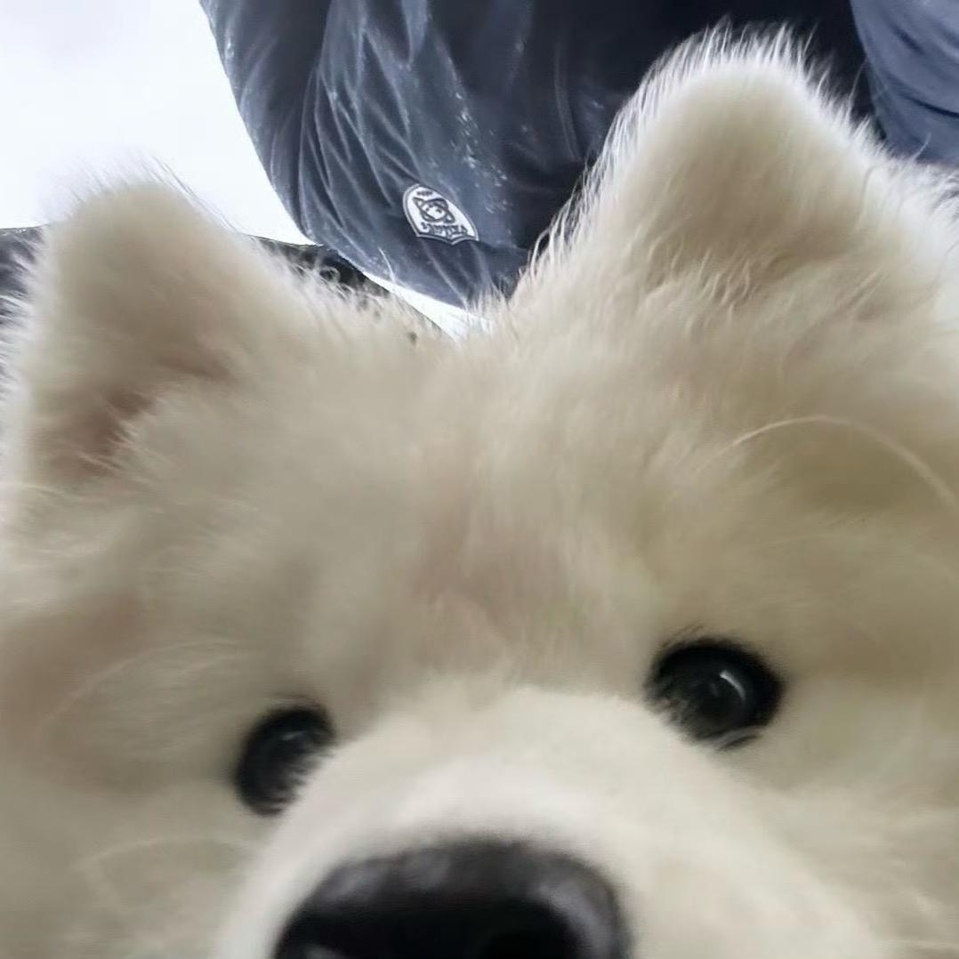 不再喜欢直女的那个冷耶