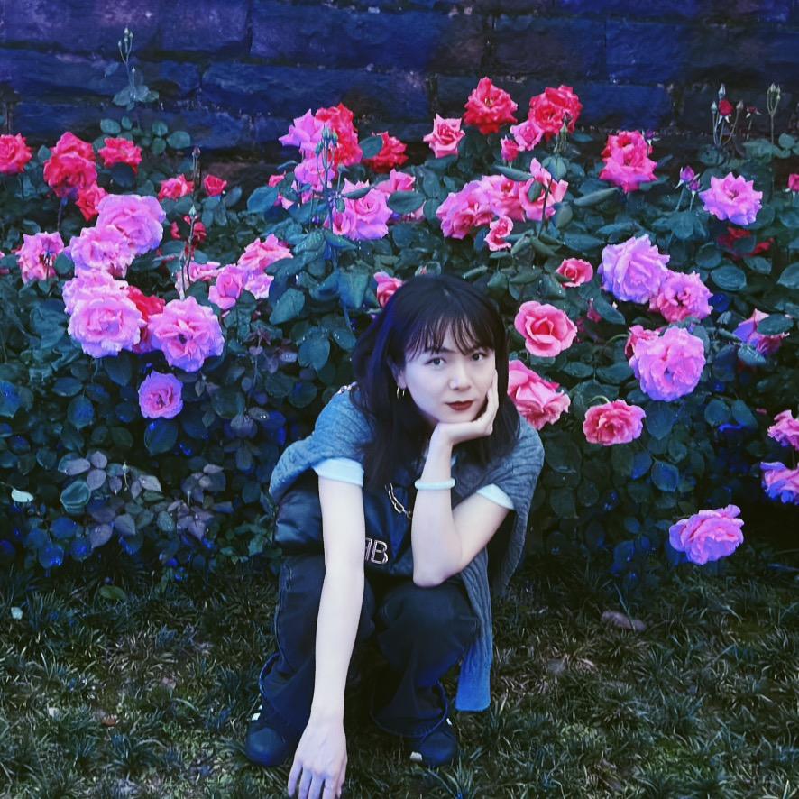 一闪一闪亮晶晶