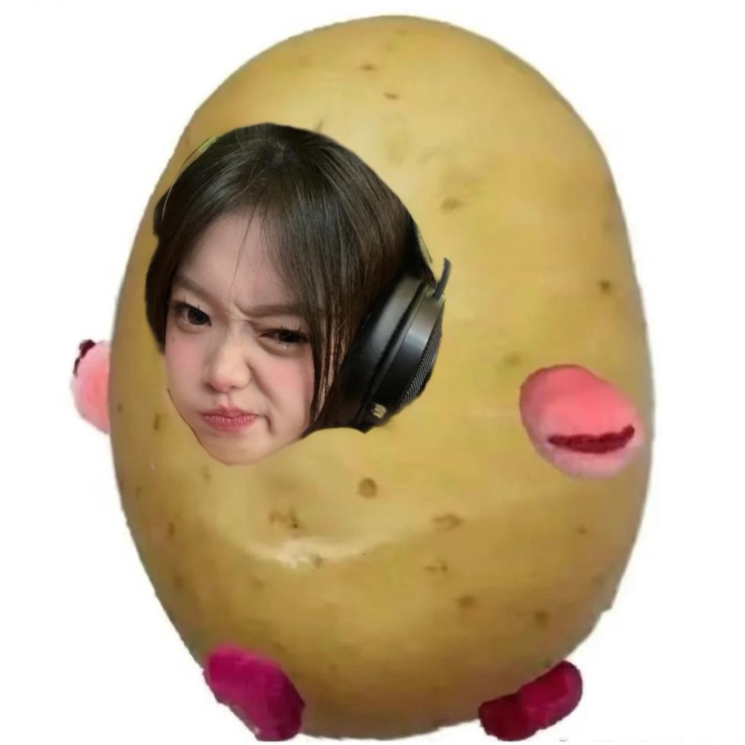 温泉蛋蛋-