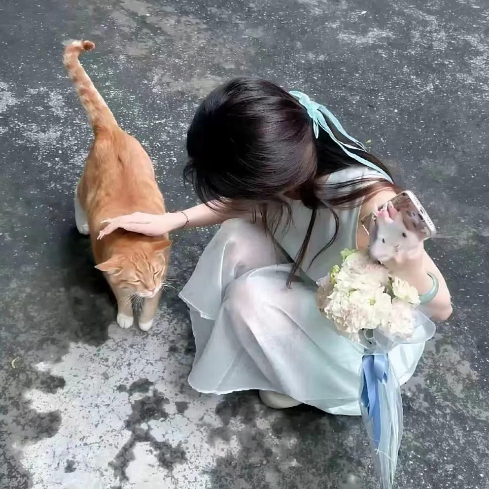 如愿、