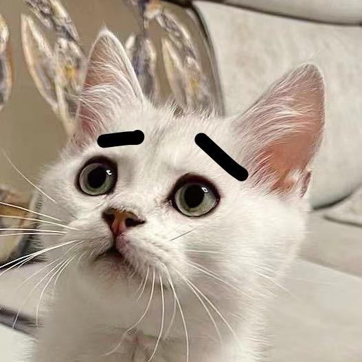 考的全会，蒙的全对