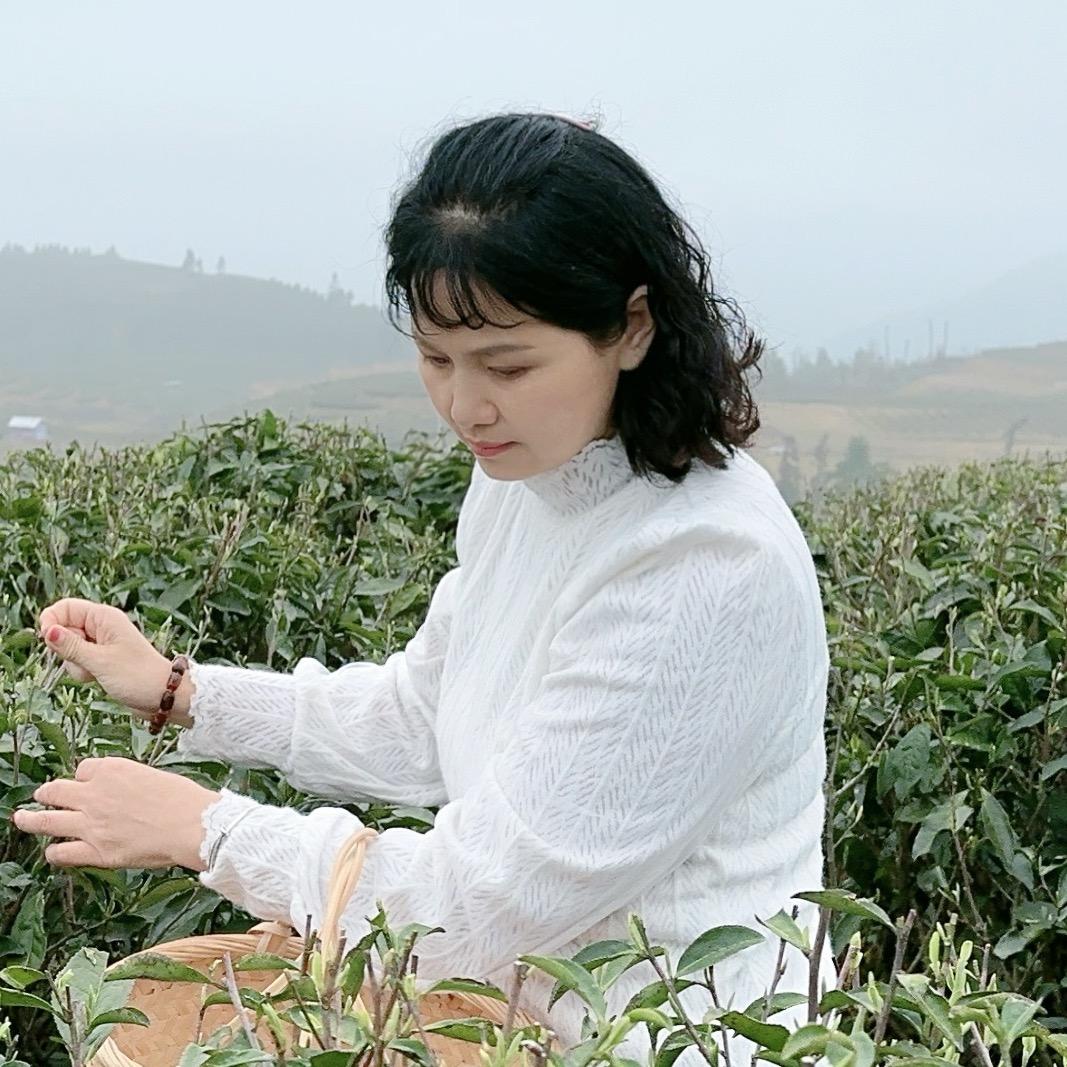 悠然茶舍