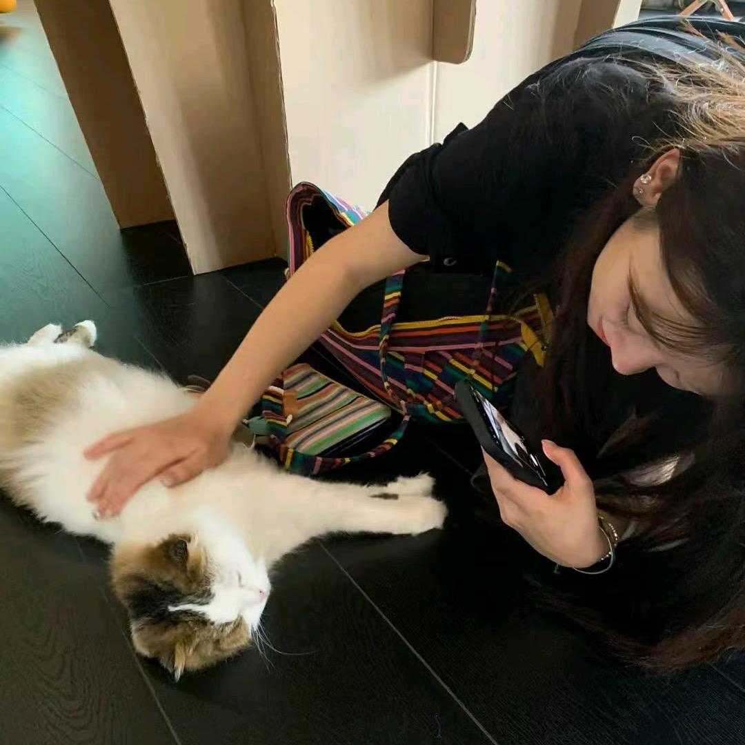 微鹤蝶ʳ
