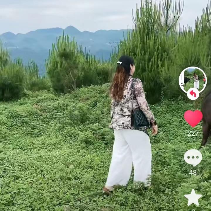 我是徐妹子