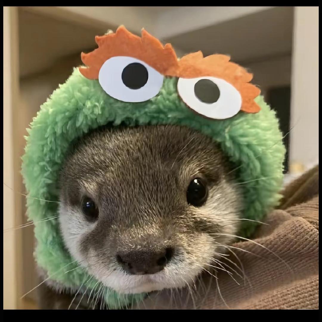 lilililili