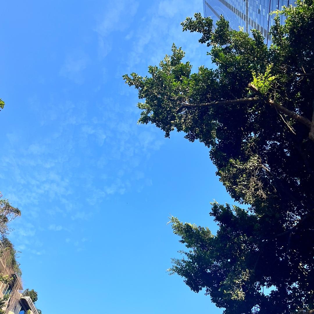 彩虹雨点