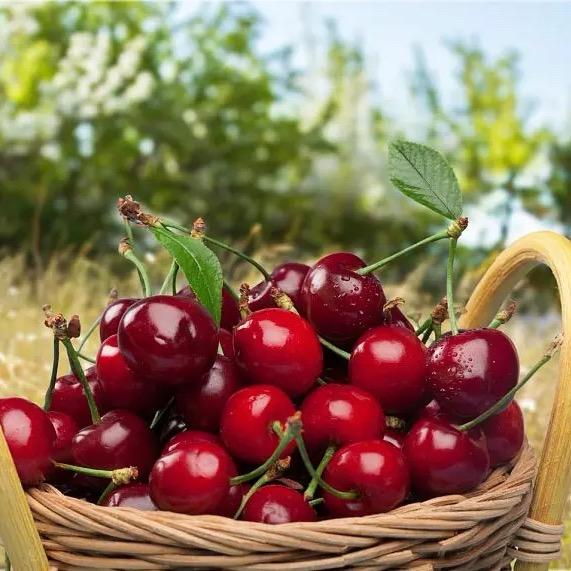 🌈এ᭄🫐ོ🍬ꦿృ⭐️