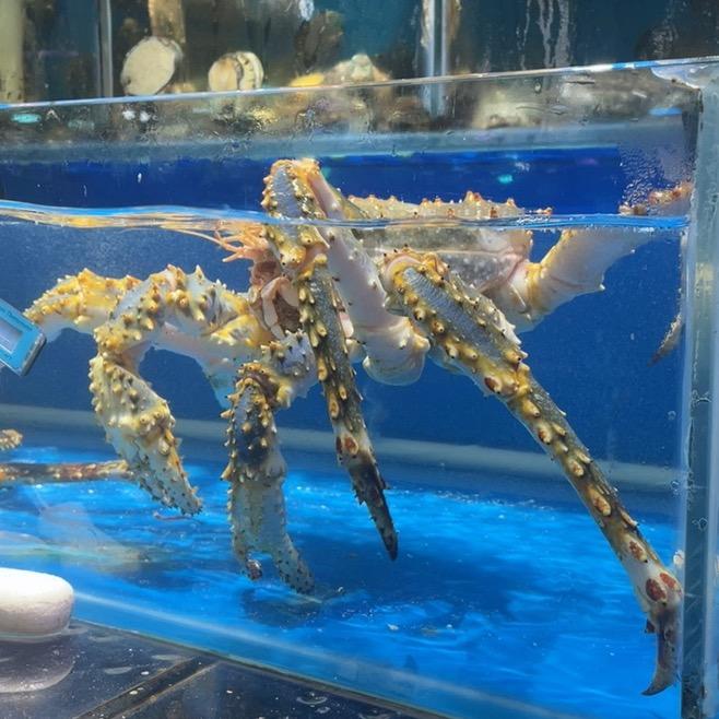 光头老铁精品海鲜
