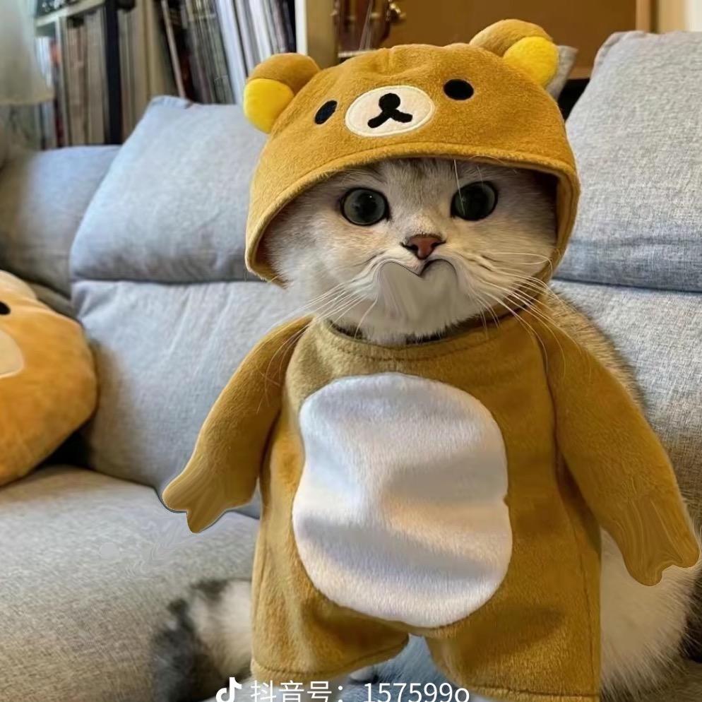 初见