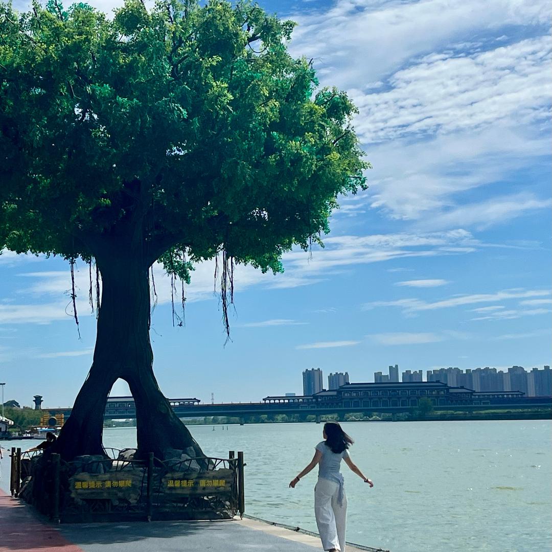太阳系知足的落葵