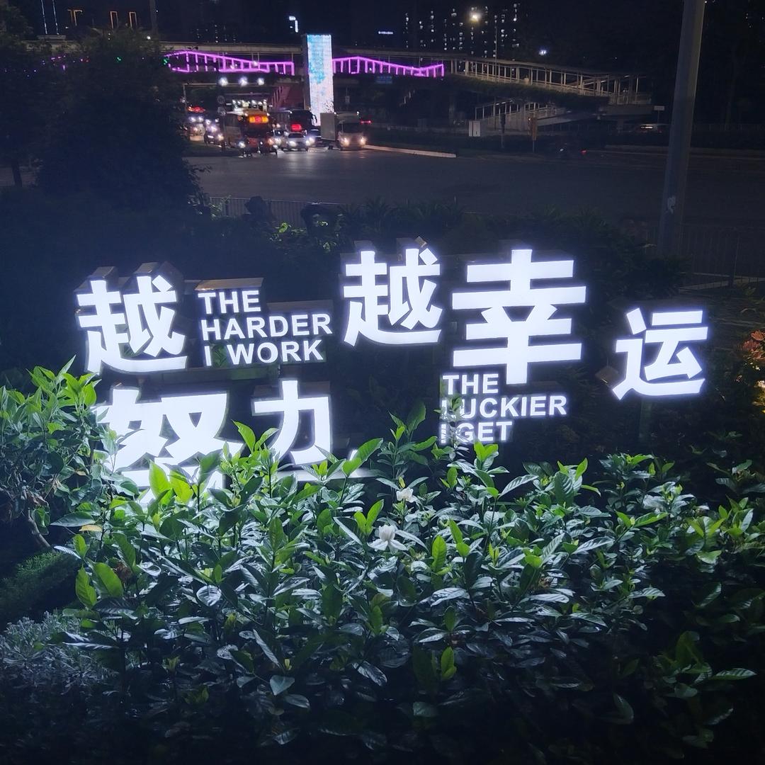 老油条