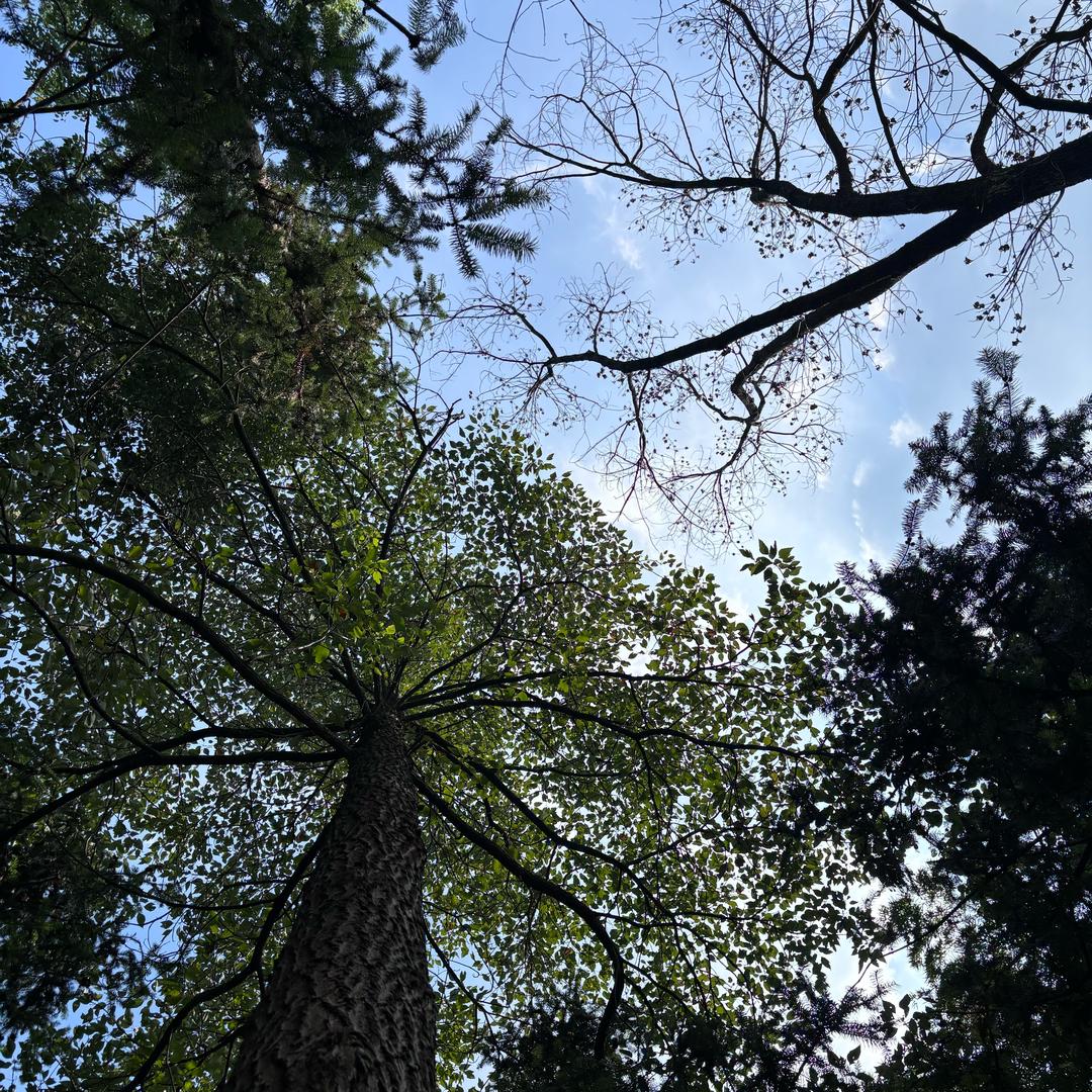 杉風烧鸟&闲得蛋农场