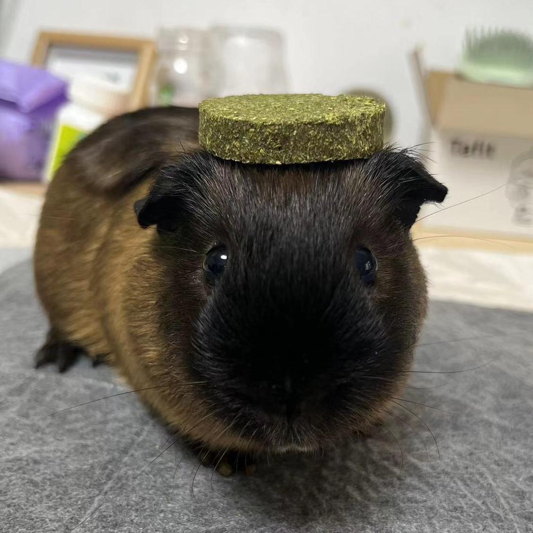 格子