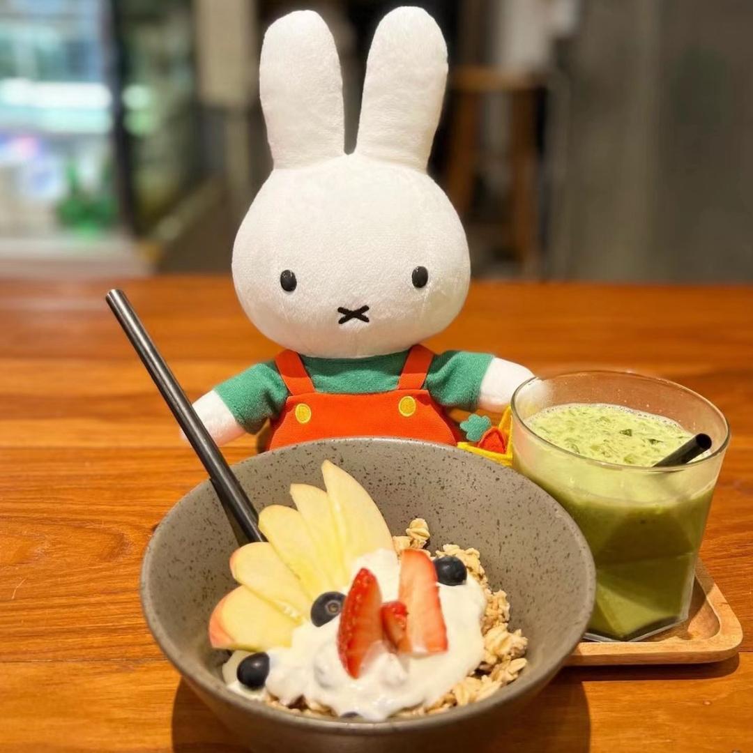 兔兔子🐰