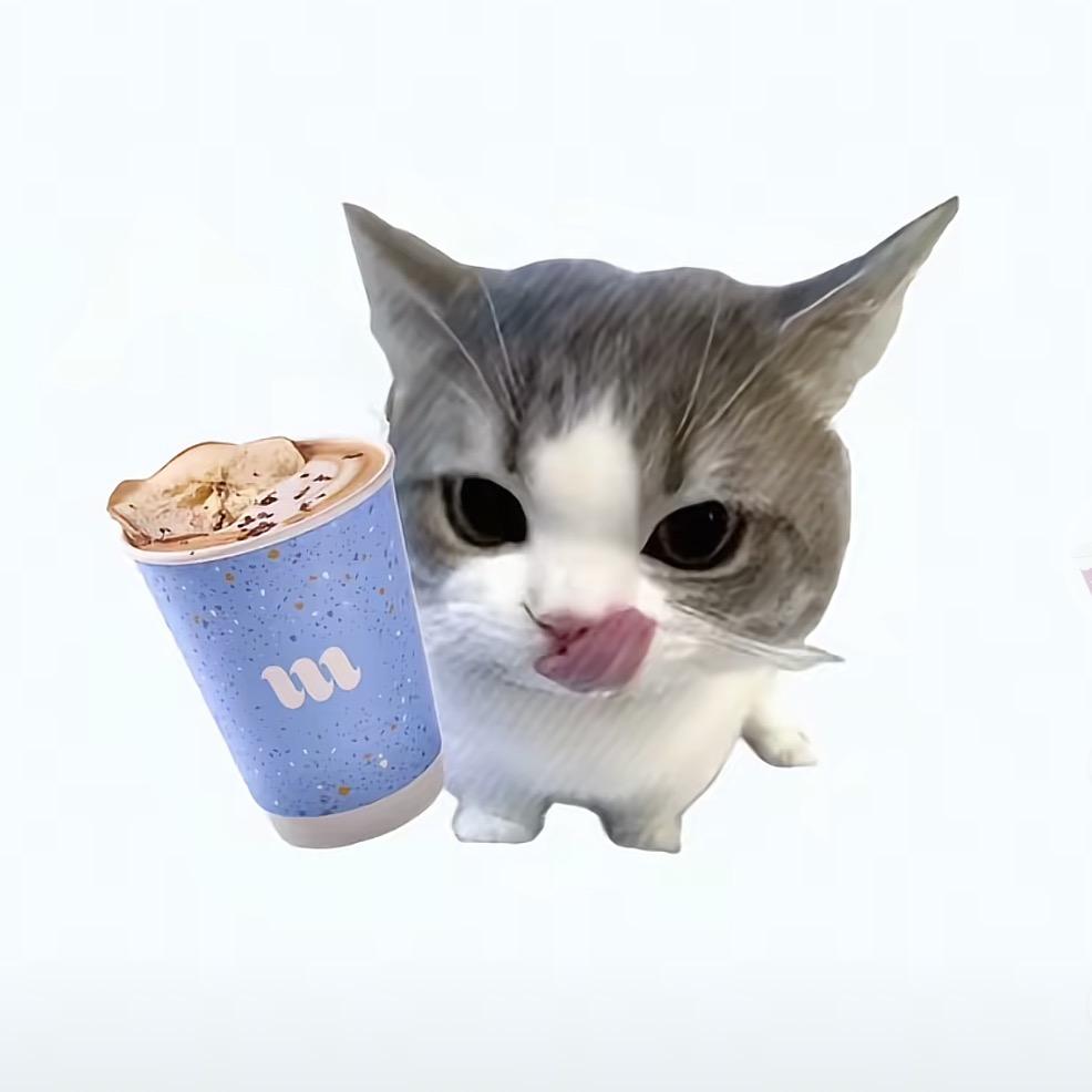 虫虫不吃虫