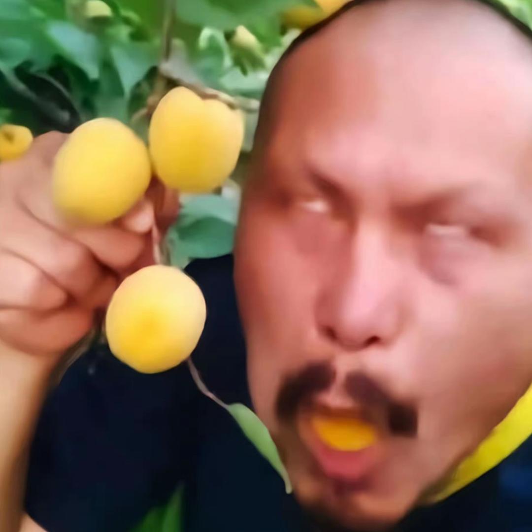 瑶