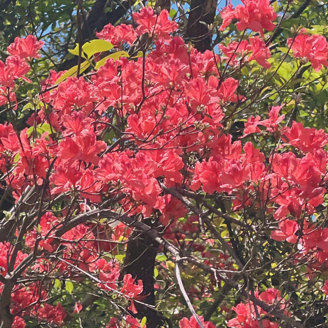 女人如水💕💕